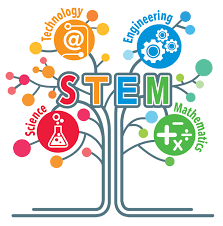 STEM / Teachers